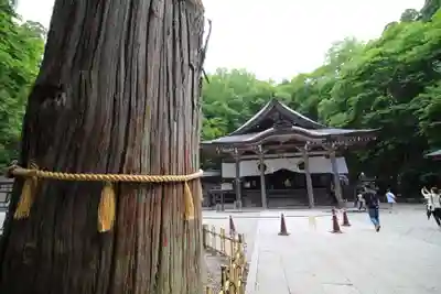 戸隠神社中社(長野県)