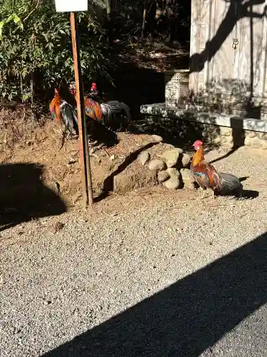 天岩戸神社の{uncategorized: "未分類", other: "その他", undefined: "問題あり", building: "その他建物", grave: "お墓", sacred_gate: "鳥居", guardian: "狛犬", statue: "像", buddha: "仏像", history: "歴史", nature: "自然", garden: "庭園", animal: "動物", pagoda: "塔", temizu: "手水舎", mountain_gate: "山門・神門", sanctuary: "本殿・本堂", subordinate: "末社・摂社", art: "芸術", scenery: "景色", jizo: "地蔵", ema: "絵馬", goshuin: "御朱印", omikuji: "おみくじ", items: "授与品その他", amulet: "お守り", goshuincho: "御朱印帳", eats: "食事", festival: "お祭り", votive_dance: "神楽", shichigosan: "七五三参", wedding: "結婚式", experience: "体験その他", initially: "初詣", around: "周辺", anti_infection: "感染症対策"}