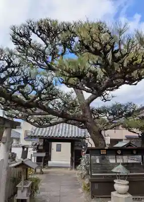 善名称院（真田庵）(和歌山県)