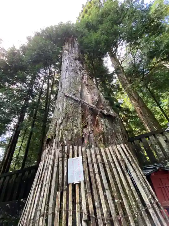 日光東照宮奥宮拝殿(栃木県)