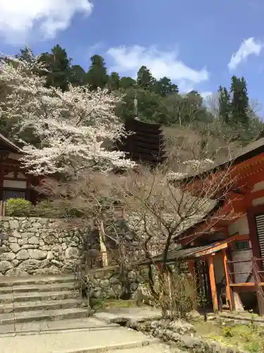 談山神社(奈良県)