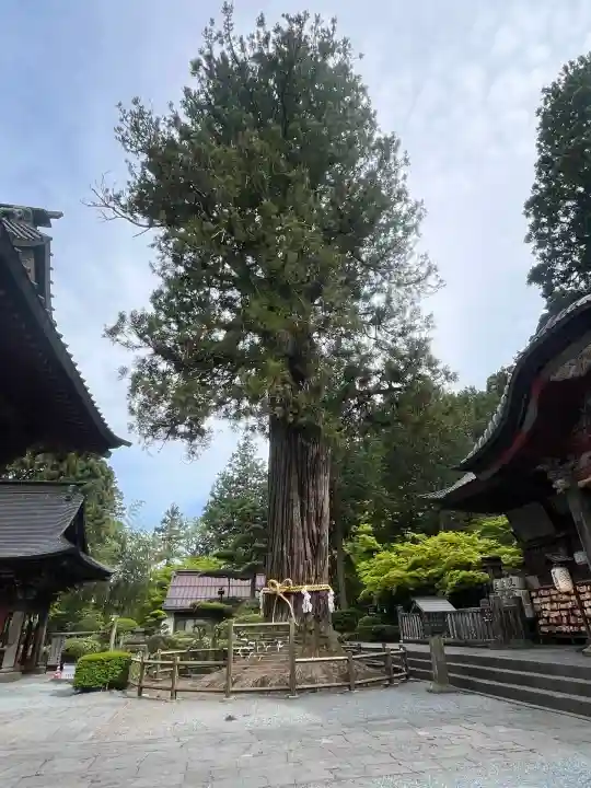 北口本宮冨士浅間神社(山梨県)