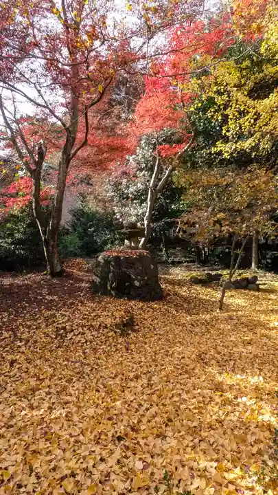 栖賢寺(京都府)