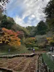 明月院(神奈川県)