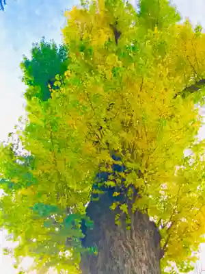 常福寺(茨城県)