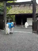 伊勢神宮外宮(豊受大神宮)(三重県)