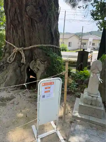 大國魂神社(福島県)