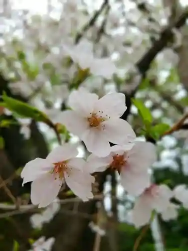 多田神社(東京都)