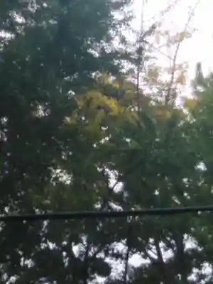 熊野福藏神社(福島県)