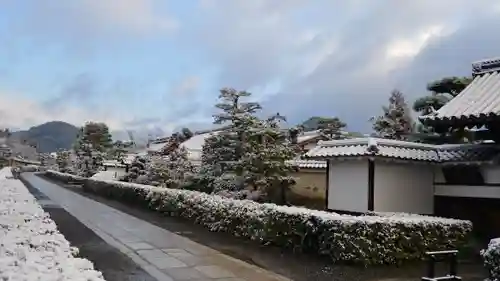 妙心寺（妙心禅寺）の周辺