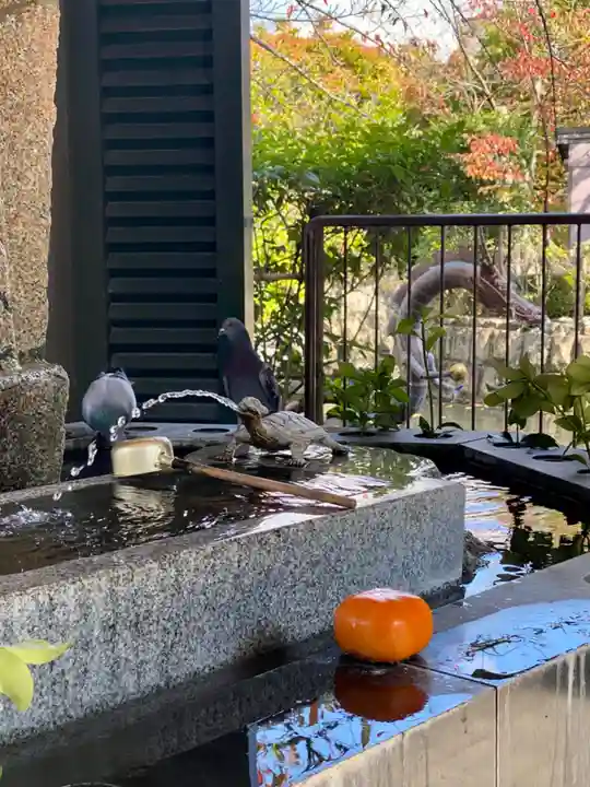 壬生寺(京都府)