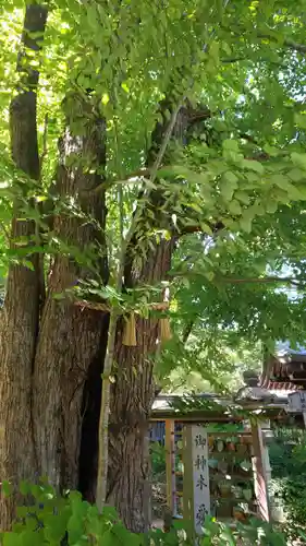 梨木神社の自然