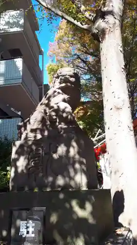 田無神社の狛犬