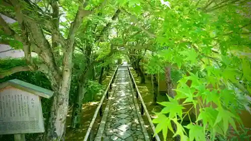光悦寺(京都府)