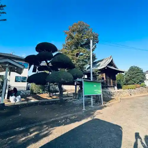 羽黒神社(埼玉県)
