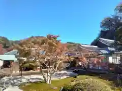 長壽寺（長寿寺）の庭園