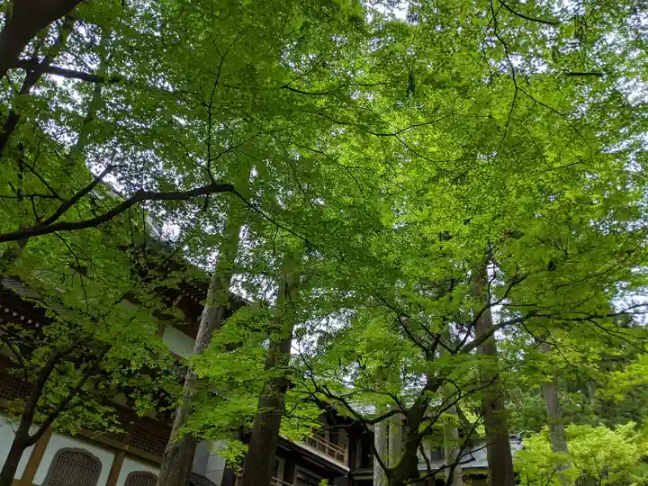 永平寺(福井県)