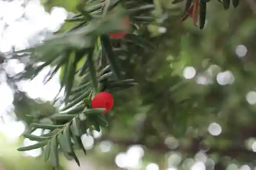 相馬神社の自然