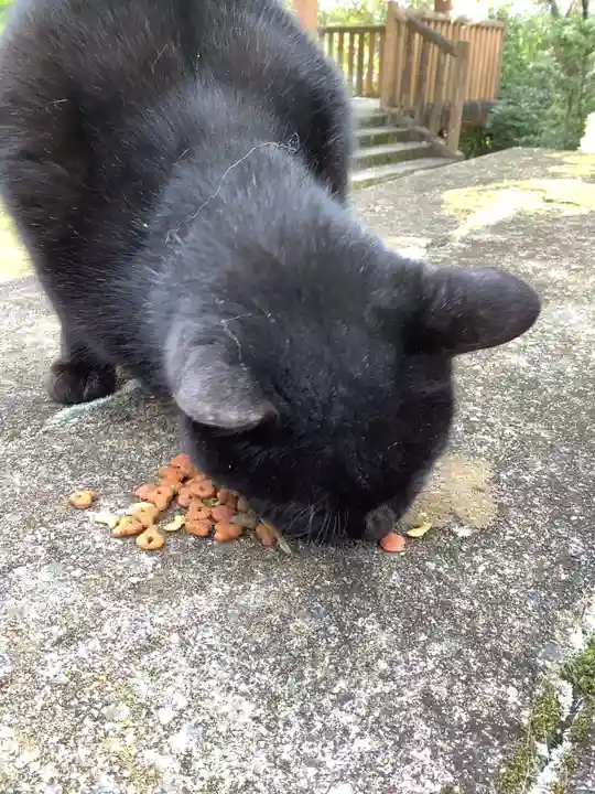 玉野御嶽神社の動物