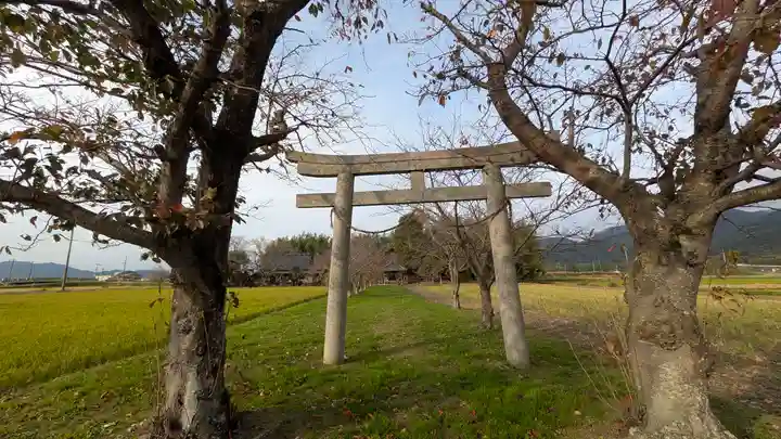 若宮神社の鳥居