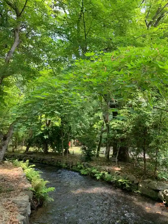 賀茂別雷神社(上賀茂神社)(京都府)