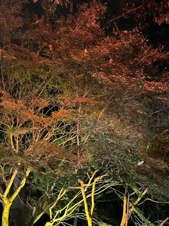 岩戸弘法弘峰寺(岐阜県)