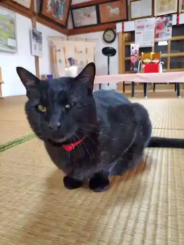 高司神社〜むすびの神の鎮まる社〜(福島県)