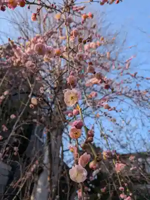 蓮華寺(東京都)
