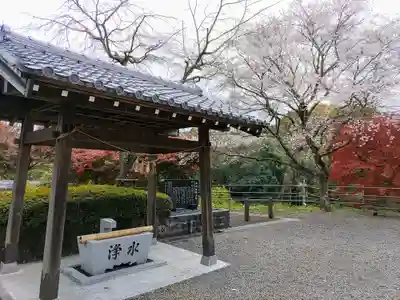 神明社（上切神明社）の手水舎
