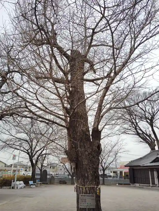 岩神稲荷神社(群馬県)