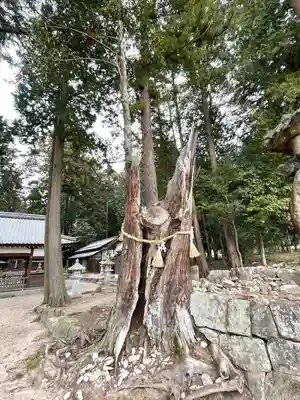 坂本神社(滋賀県)