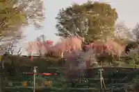 阿久津「田村神社」(郡山市阿久津町)旧社名:伊豆箱根三嶋三社の庭園