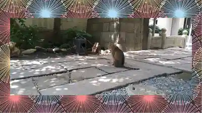 小野照崎神社(東京都)