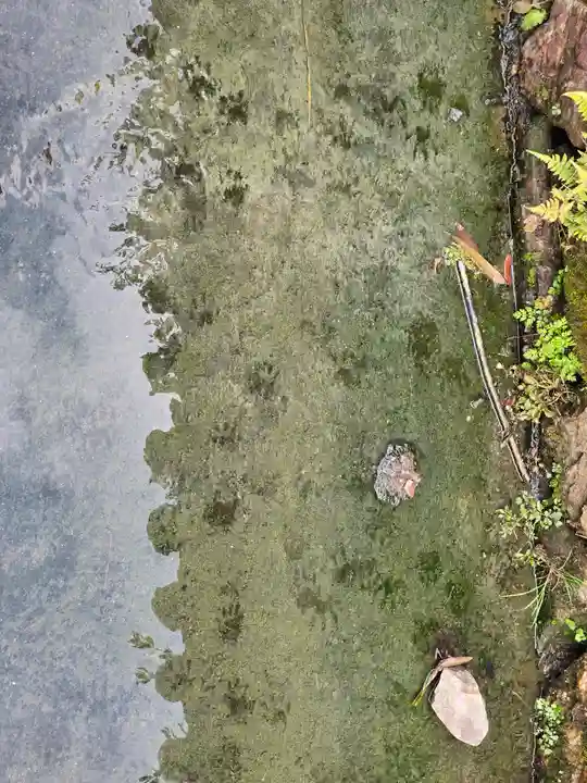 円成院(奈良県)