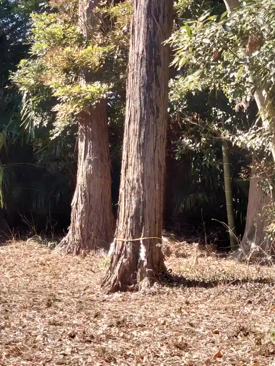 下溝八幡宮(神奈川県)