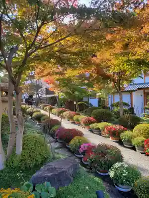 宝徳寺(群馬県)