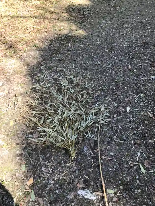 杭全神社(大阪府)