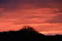 阿久津「田村神社」(郡山市阿久津町)旧社名:伊豆箱根三嶋三社の初詣