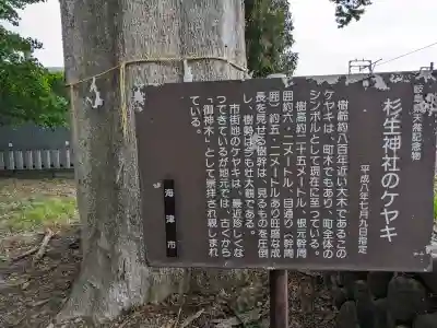 杉生神社の{uncategorized: "未分類", other: "その他", undefined: "問題あり", building: "その他建物", grave: "お墓", sacred_gate: "鳥居", guardian: "狛犬", statue: "像", buddha: "仏像", history: "歴史", nature: "自然", garden: "庭園", animal: "動物", pagoda: "塔", temizu: "手水舎", mountain_gate: "山門・神門", sanctuary: "本殿・本堂", subordinate: "末社・摂社", art: "芸術", scenery: "景色", jizo: "地蔵", ema: "絵馬", goshuin: "御朱印", omikuji: "おみくじ", items: "授与品その他", amulet: "お守り", goshuincho: "御朱印帳", eats: "食事", festival: "お祭り", votive_dance: "神楽", shichigosan: "七五三参", wedding: "結婚式", experience: "体験その他", initially: "初詣", around: "周辺", anti_infection: "感染症対策"}