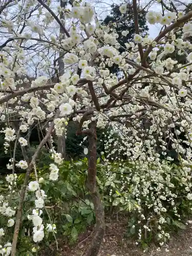 岩津天満宮(愛知県)