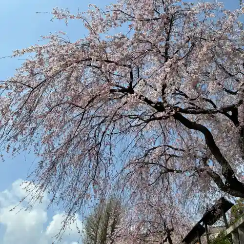 根岸八幡神社(神奈川県)