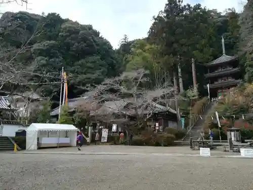 松尾寺の本殿