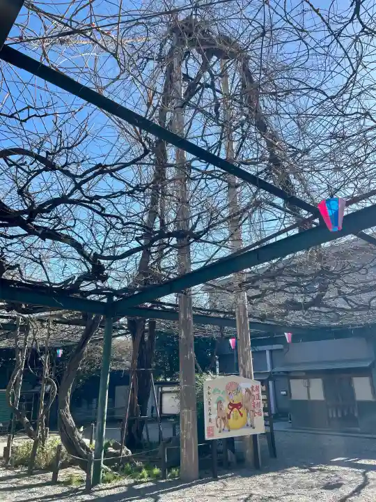 國領神社の{uncategorized: "未分類", other: "その他", undefined: "問題あり", building: "その他建物", grave: "お墓", sacred_gate: "鳥居", guardian: "狛犬", statue: "像", buddha: "仏像", history: "歴史", nature: "自然", garden: "庭園", animal: "動物", pagoda: "塔", temizu: "手水舎", mountain_gate: "山門・神門", sanctuary: "本殿・本堂", subordinate: "末社・摂社", art: "芸術", scenery: "景色", jizo: "地蔵", ema: "絵馬", goshuin: "御朱印", omikuji: "おみくじ", items: "授与品その他", amulet: "お守り", goshuincho: "御朱印帳", eats: "食事", festival: "お祭り", votive_dance: "神楽", shichigosan: "七五三参", wedding: "結婚式", experience: "体験その他", initially: "初詣", around: "周辺", anti_infection: "感染症対策"}