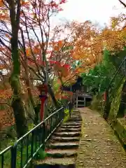 愛宕念仏寺(京都府)