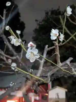 五方山熊野神社(東京都)