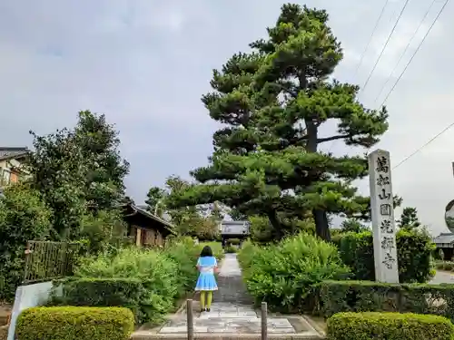 圓光禅寺（円光寺）の自然
