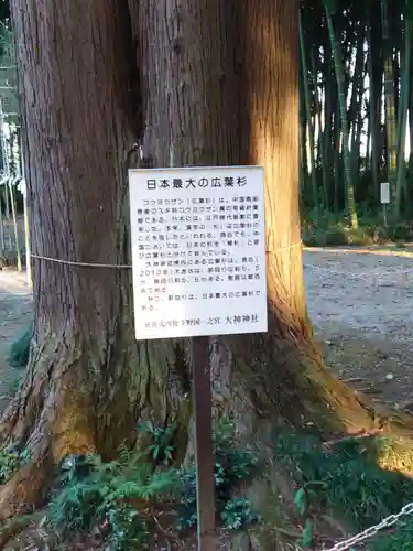 大神神社の自然