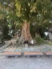 揖夜神社(島根県)