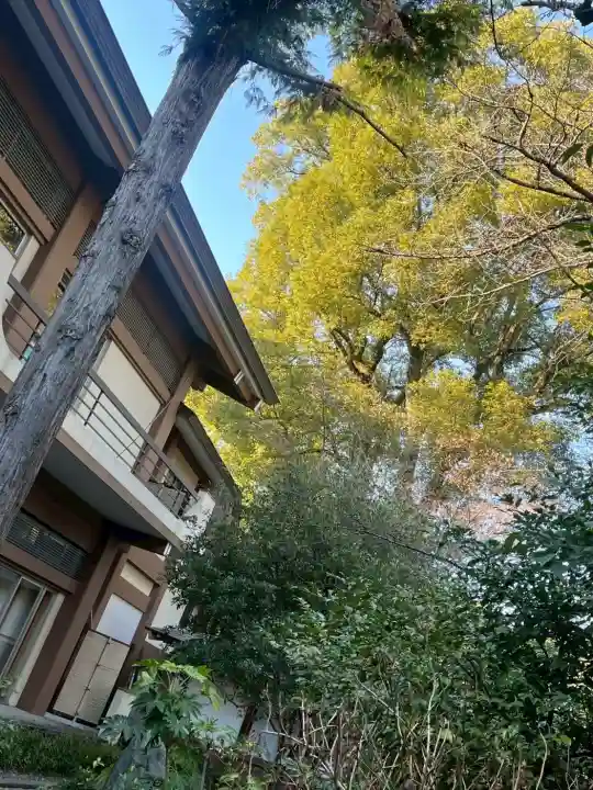 阿佐ヶ谷神明宮の{uncategorized: "未分類", other: "その他", undefined: "問題あり", building: "その他建物", grave: "お墓", sacred_gate: "鳥居", guardian: "狛犬", statue: "像", buddha: "仏像", history: "歴史", nature: "自然", garden: "庭園", animal: "動物", pagoda: "塔", temizu: "手水舎", mountain_gate: "山門・神門", sanctuary: "本殿・本堂", subordinate: "末社・摂社", art: "芸術", scenery: "景色", jizo: "地蔵", ema: "絵馬", goshuin: "御朱印", omikuji: "おみくじ", items: "授与品その他", amulet: "お守り", goshuincho: "御朱印帳", eats: "食事", festival: "お祭り", votive_dance: "神楽", shichigosan: "七五三参", wedding: "結婚式", experience: "体験その他", initially: "初詣", around: "周辺", anti_infection: "感染症対策"}