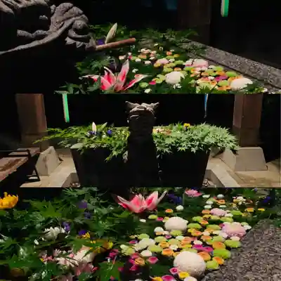 滑川神社 - 仕事と子どもの守り神の手水舎